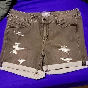 Plus Size Shorts